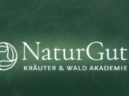 Waldbaden mit NaturGut Kräuter & Waldakademie